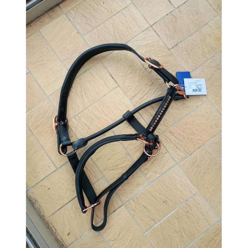 Licol cuir et cristaux neuf