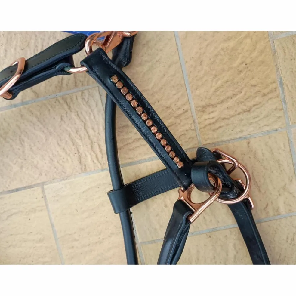 Licol cuir et cristaux neuf