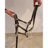 Licol cuir et tissu + longe