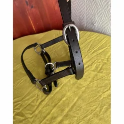 Licol cuir foal/poulain