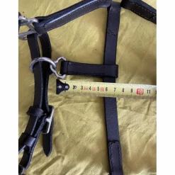 Licol cuir foal/poulain