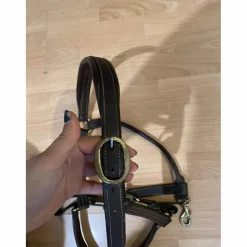 licol cuir marron