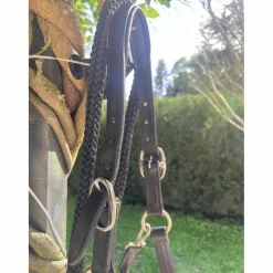 licol en cuir