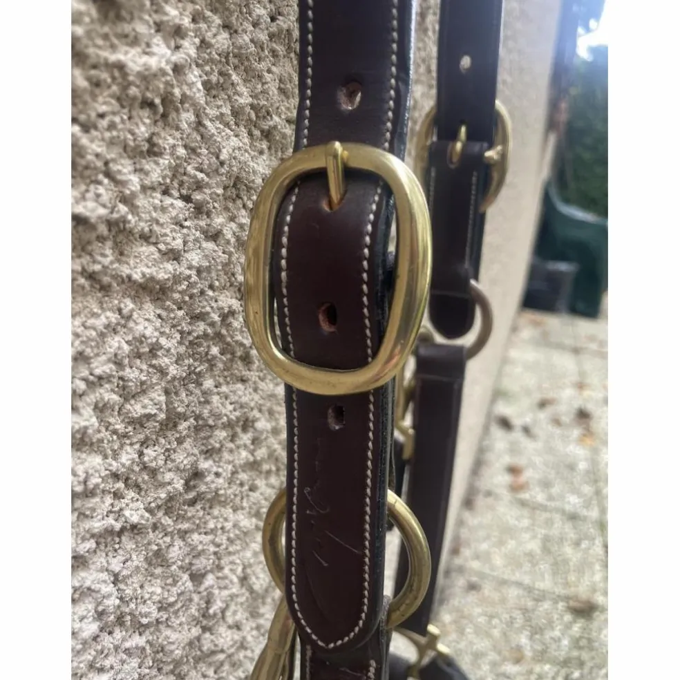 Licol en cuir DYON collection