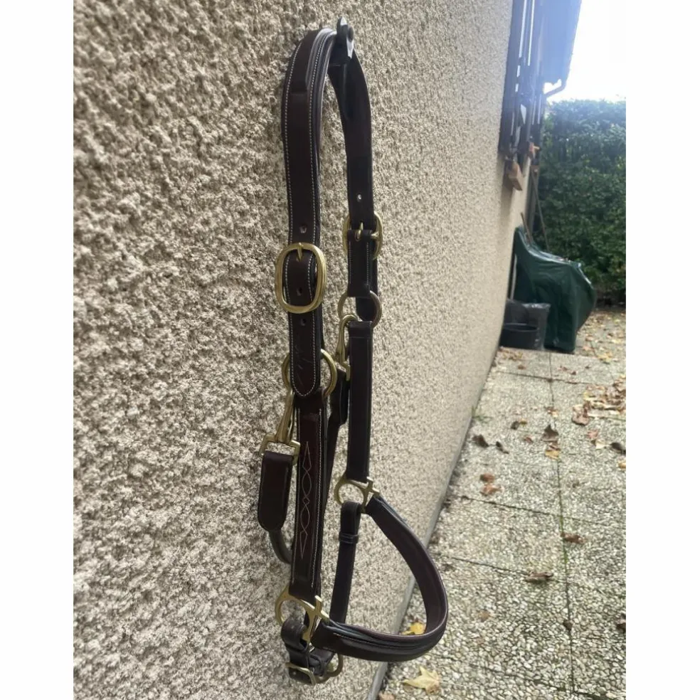 Licol en cuir DYON collection