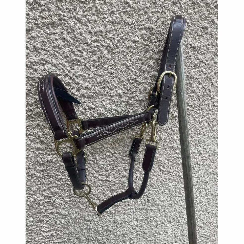Licol en cuir DYON collection