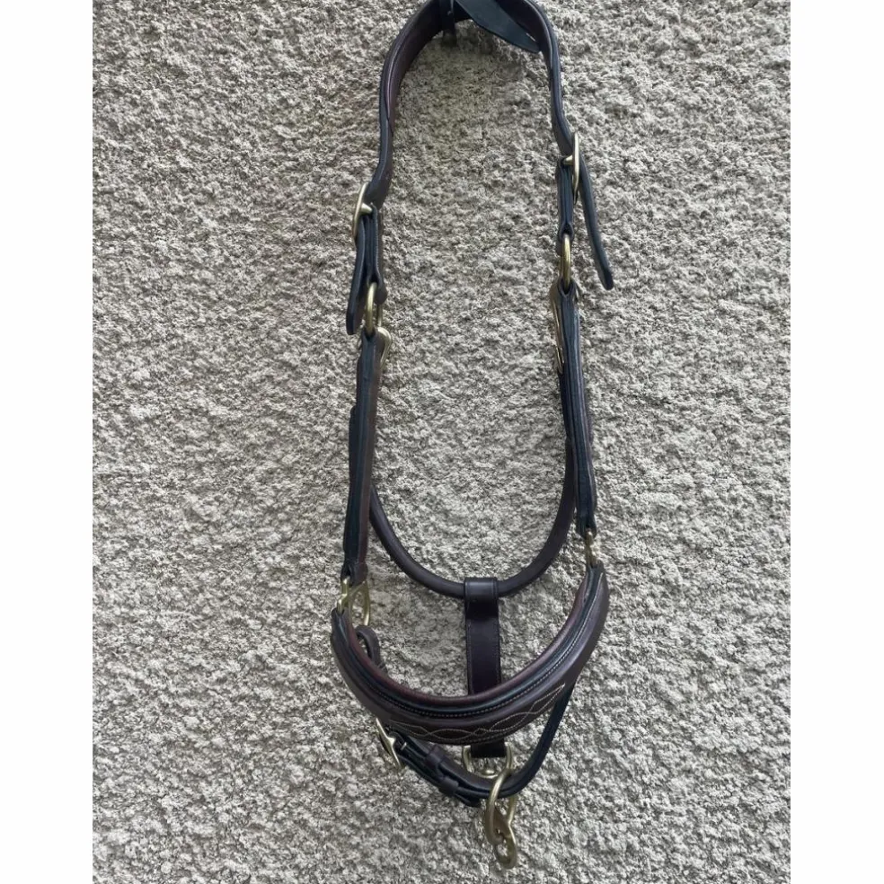 Licol en cuir DYON collection