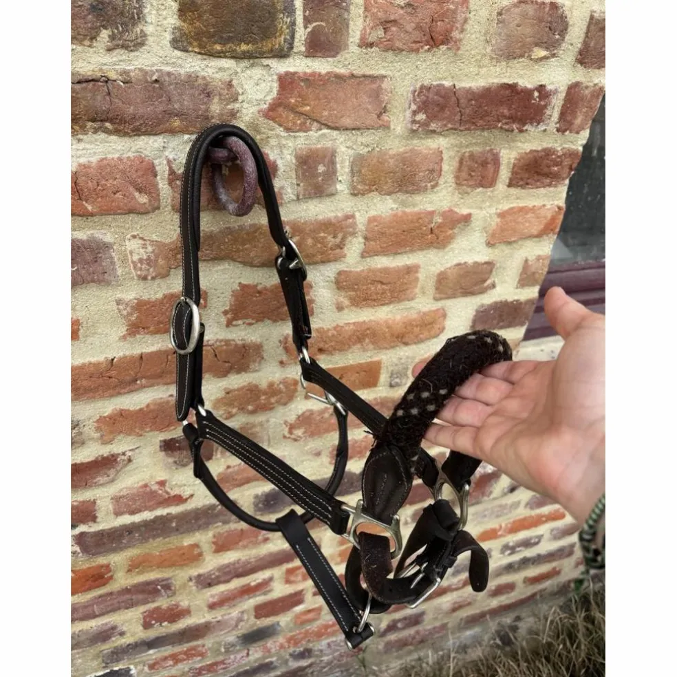 Licol en cuir et corde