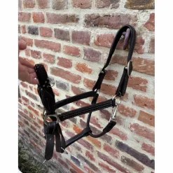 Licol en cuir et corde