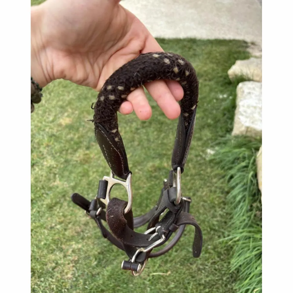 Licol en cuir et corde