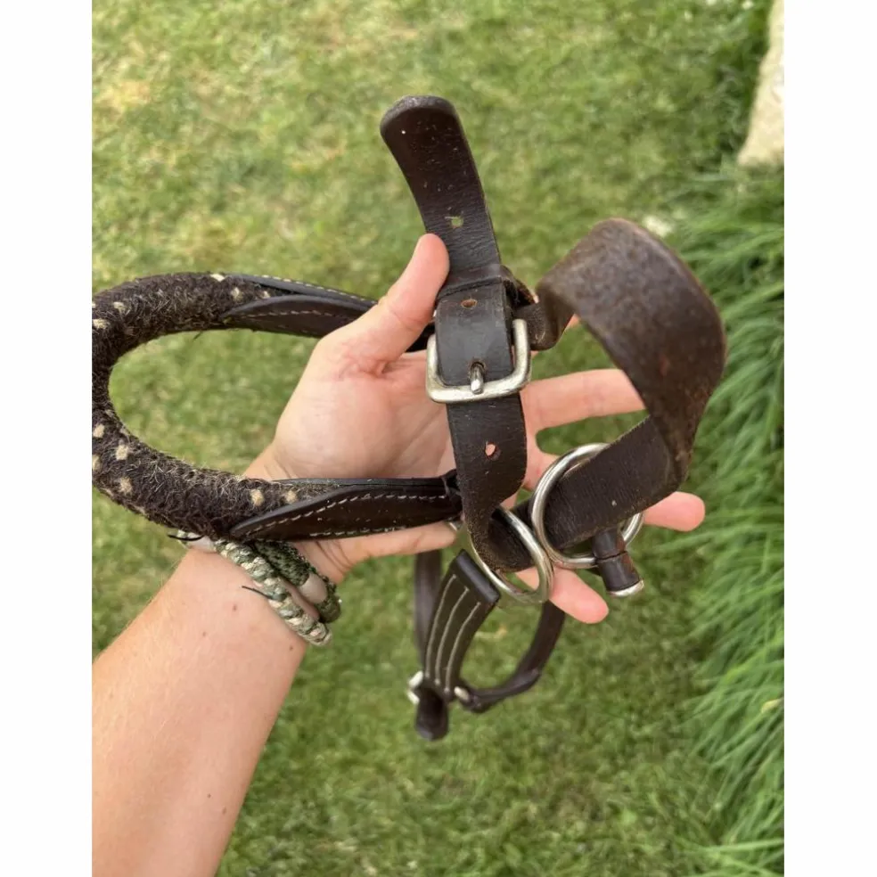 Licol en cuir et corde