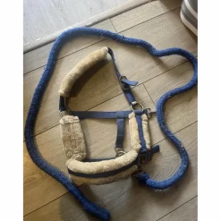 licol et longe bleu avec mouton blanc