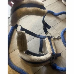 licol et longe bleu avec mouton blanc