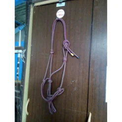 Licol ethologique