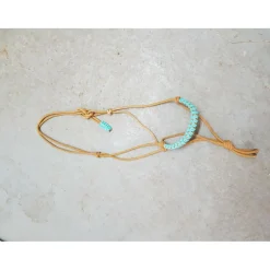 Licol ethologique