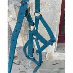 Licol Fouganza