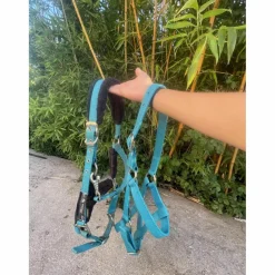 Licol Fouganza bleu