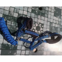 Licol Fouganza bleu roi
