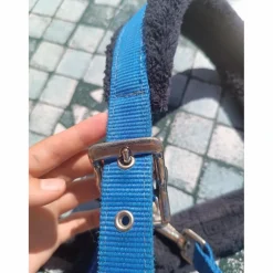Licol Fouganza bleu roi
