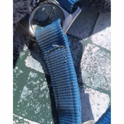 Licol Fouganza bleu roi