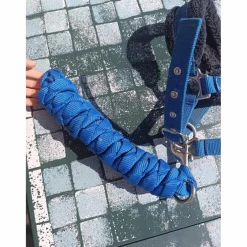 Licol Fouganza bleu roi