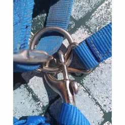 Licol Fouganza bleu roi
