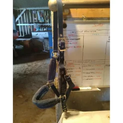 Licol Horse Rinding