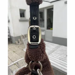 Licol Kentucky mouton brun taille full