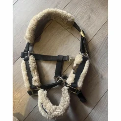 licol Kentucky poney
