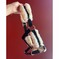 Licol Kentucky taille cob