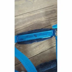 licol électric blue 🦋
