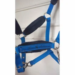 licol électric blue 🦋