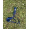 licol moumoute bleu taille cob