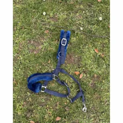 licol moumoute bleu taille cob