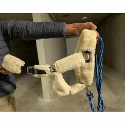 LICOL MOUTON