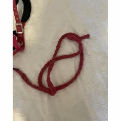 Licol mouton + longe