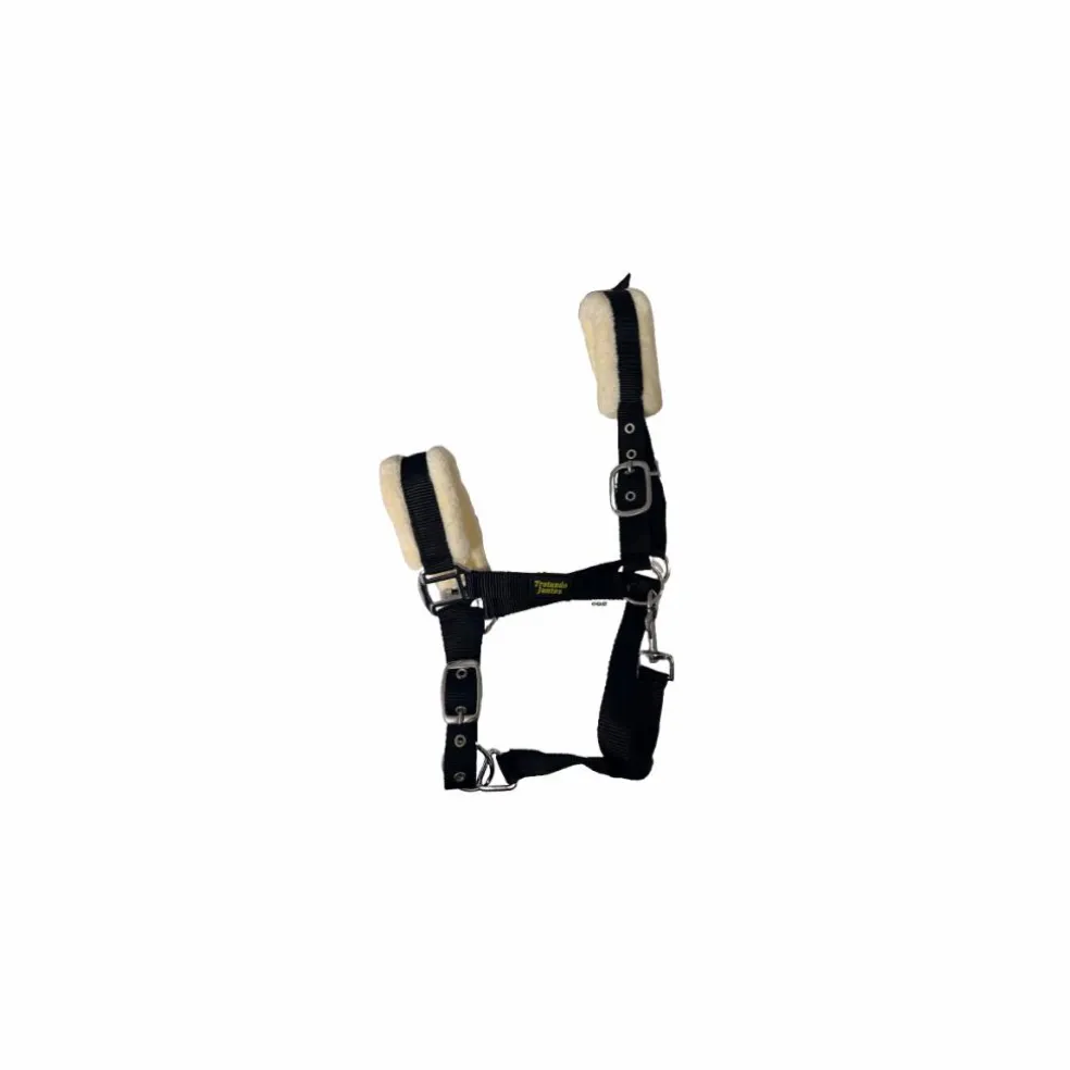 Licol Mouton "Black Edition" | Protection Anti-Frottements & Inox 🖤