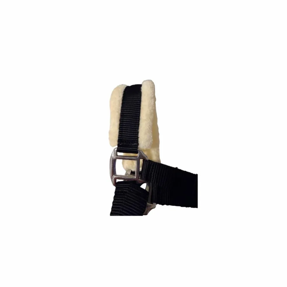 Licol Mouton "Black Edition" | Protection Anti-Frottements & Inox 🖤