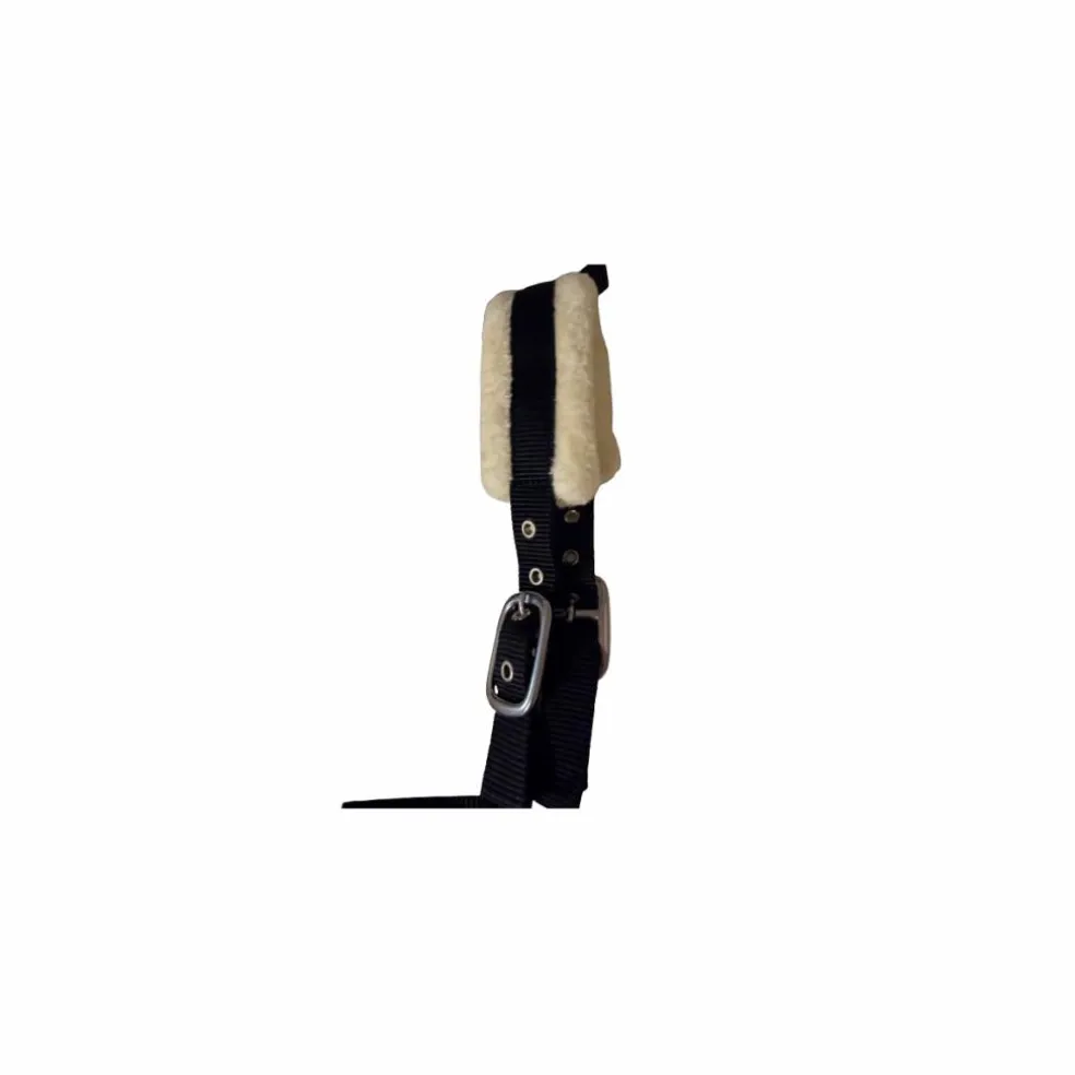 Licol Mouton "Black Edition" | Protection Anti-Frottements & Inox 🖤