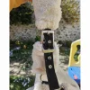 Licol mouton equitheme