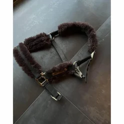 licol mouton Kentucky