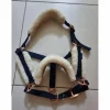 Licol Mouton Marine et gold