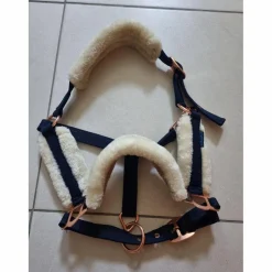 Licol Mouton Marine et gold