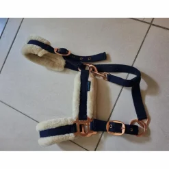Licol Mouton Marine et gold