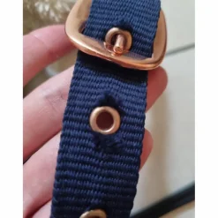 Licol Mouton Marine et gold