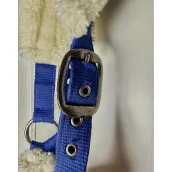Licol Mouton Norton Bleu Vif Poney-Shetland
