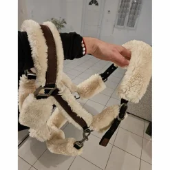 Licol mouton penelope leprevost