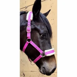 Licol Mouton Rose Fushia | Ultra-Doux & Bouclerie Inox 💖