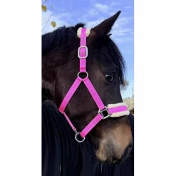 Licol Mouton Rose Fushia | Ultra-Doux & Bouclerie Inox 💖