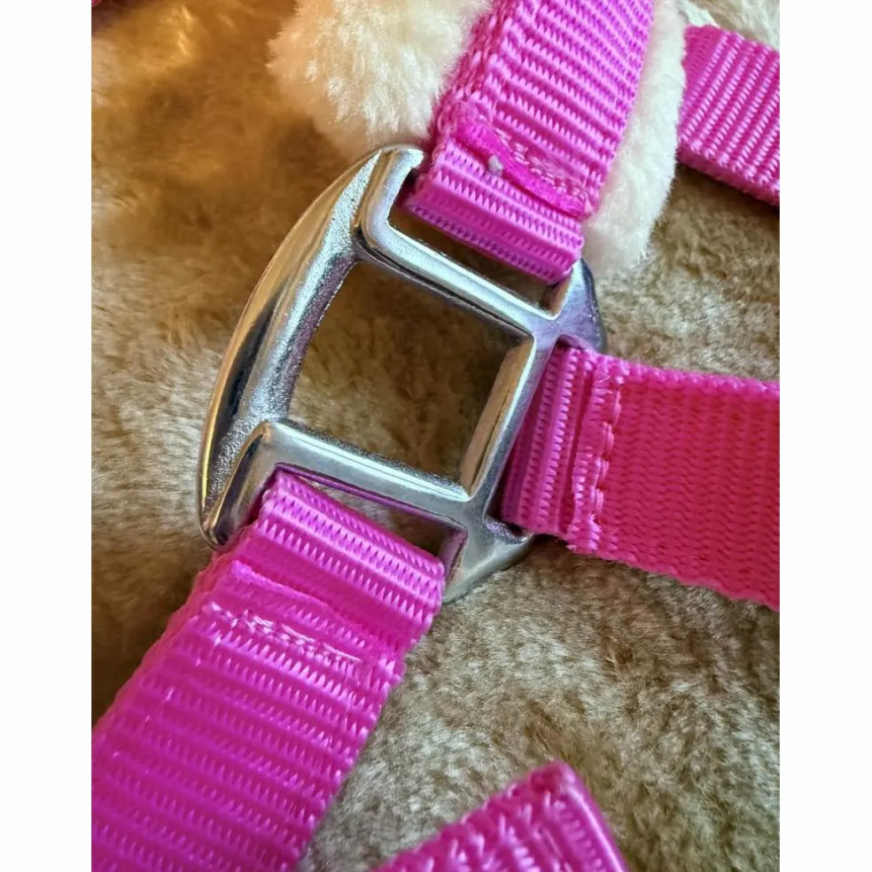 Licol Mouton Rose Fushia | Ultra-Doux & Bouclerie Inox 💖